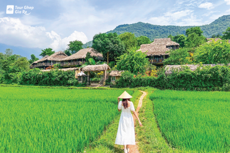 Thung lũng Mai Châu mùa nào đẹp? Cẩm nang chi tiết A - Z
