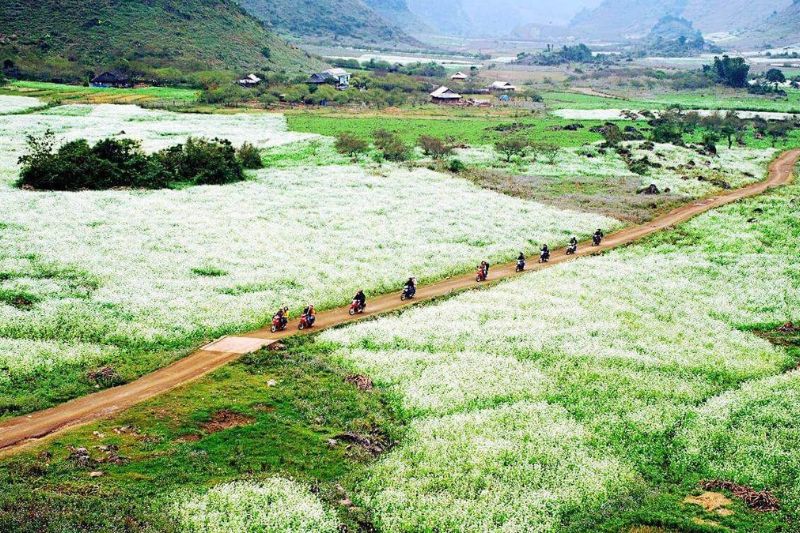 Bản Thung Cuông có gì đẹp? Khám phá mùa đẹp nhất năm