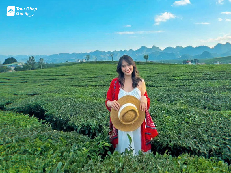 Du lịch cao nguyên Mộc Châu mùa nào đẹp nhất? Cẩm nang chi tiết