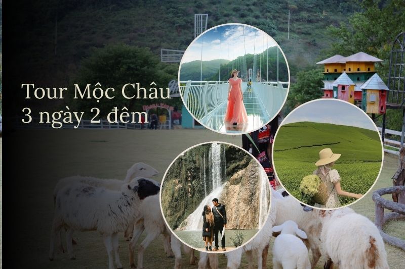 Lịch trình, giá tour du lịch Mộc Châu 3 ngày 2 đêm trọn gói chi tiết
